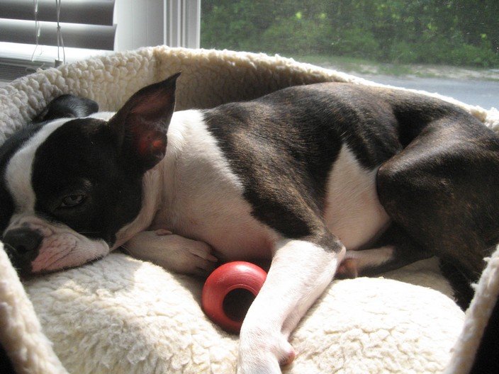 lisalorigracie092.jpg