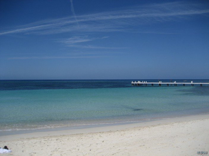 carnival149.jpg