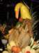 carnival205_small.jpg