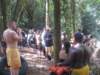 carnival248_small.jpg