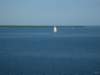 carnival289_small.jpg