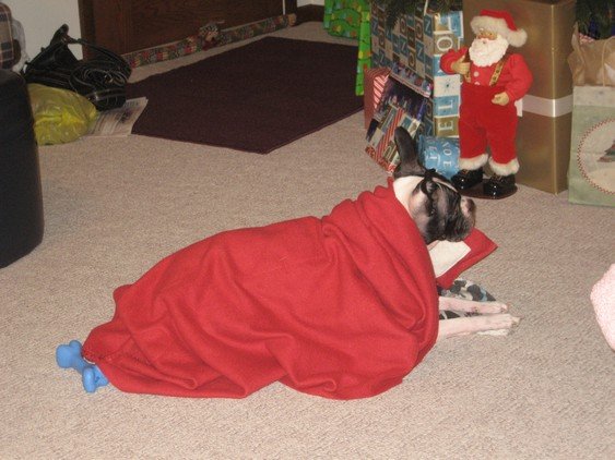 christmas03.jpg