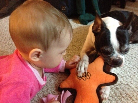 20130213-090216.jpg