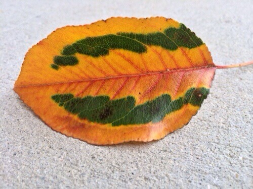 20131101-133947.jpg