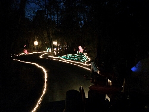 2013-12-13hayridelights03