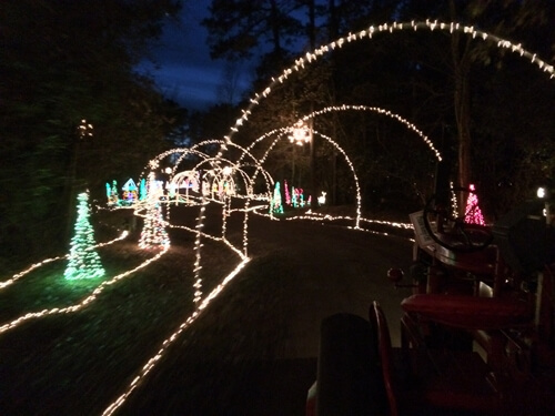 2013-12-13hayridelights05