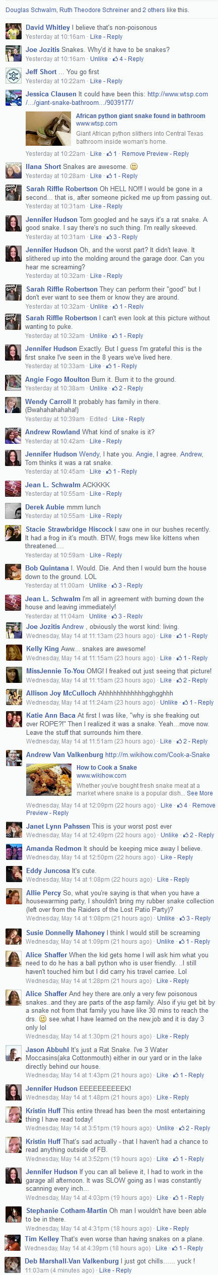 2014-05-14snakefacebook