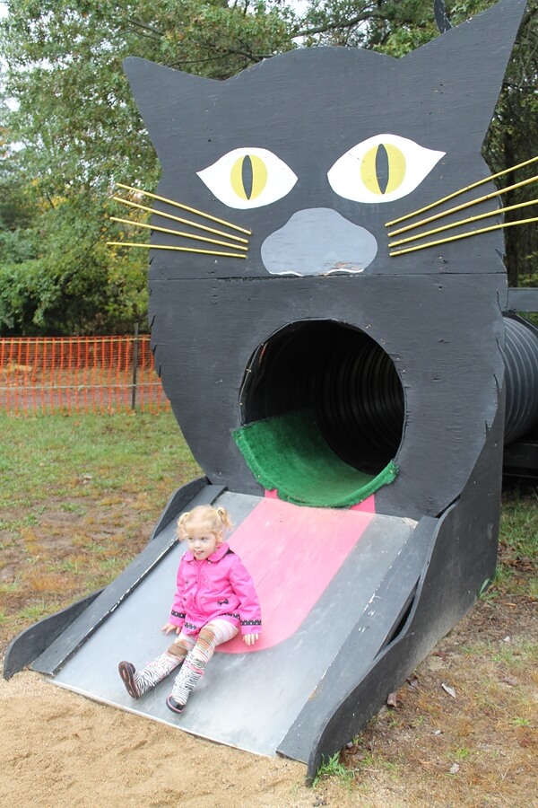 2014-10-16pumpkinpatch08