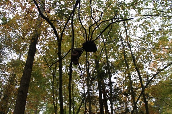 2014-10-16pumpkinpatch24