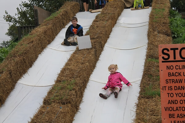 2014-10-16pumpkinpatch34