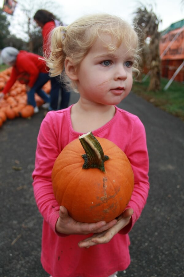 2014-10-16pumpkinpatch50
