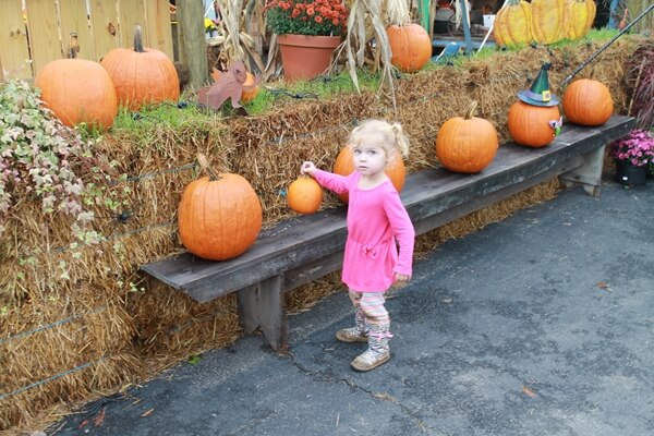 2014-10-16pumpkinpatch51