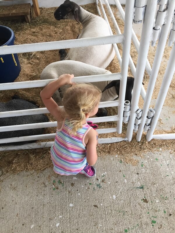 2015-07-24kids008