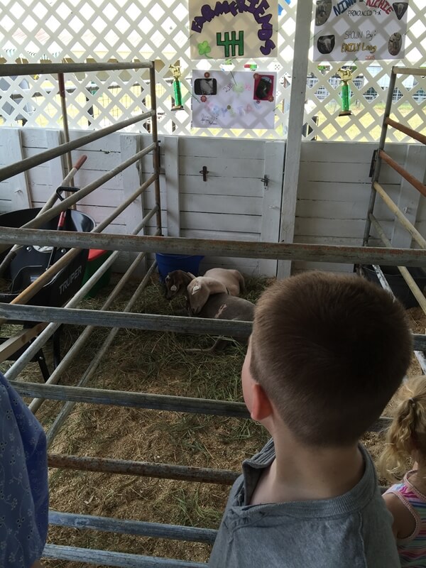 2015-07-24kids009