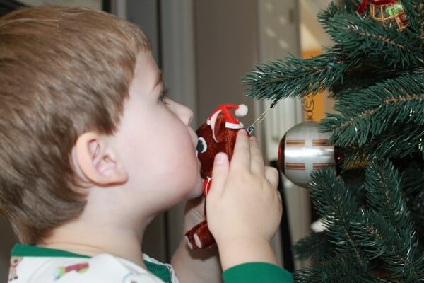 2011-12christmasbear3