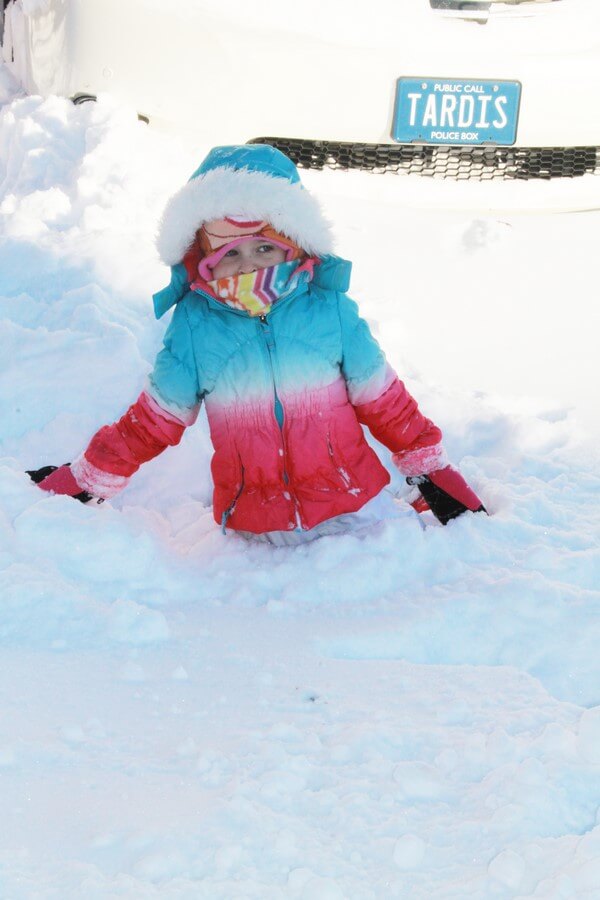 2016-01-24blizzard03