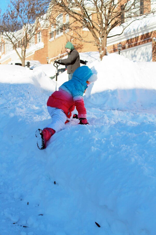 2016-01-24blizzard12