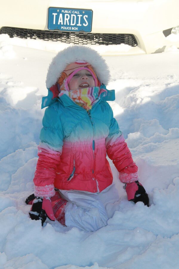 2016-01-24blizzard14