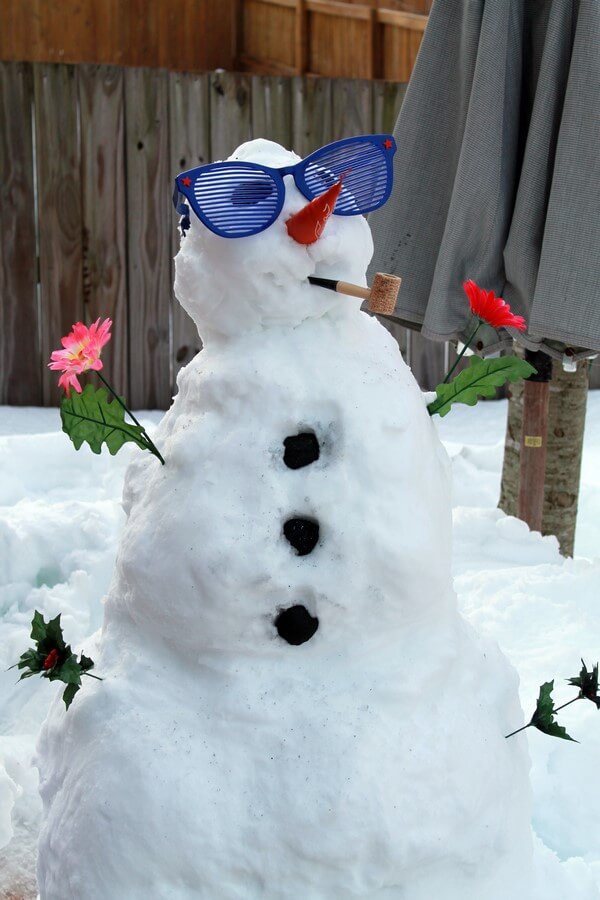 2016-01-26snowman15